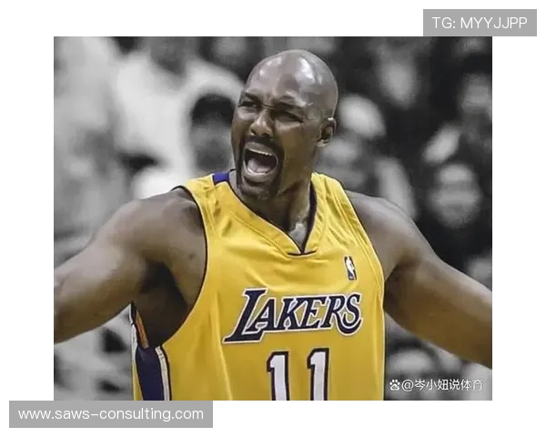 卡尔·马龙：从篮球巨星到文化符号的传奇之路