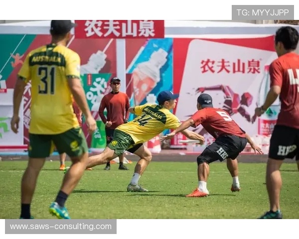 南京飞盘队的蜕变与成长：一段飞盘运动的真实记录与反思