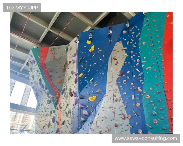 杭州攀岩队技术交流与训练心得分享探讨攀岩运动的未来发展方向