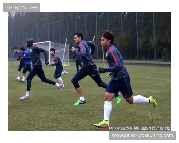 深圳飞盘队与南京飞盘队的耐力对决赛后深度分析与反思