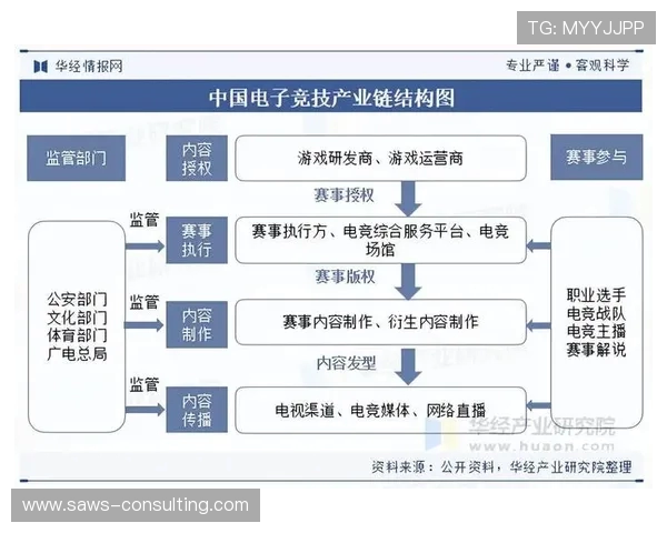 全球电竞产业发展趋势与未来青少年职业化道路深度解析